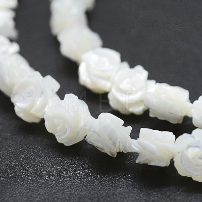 Natural White Shell Beads Strands SSHEL-P015-01A-6mm-1