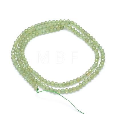 Natural Apatite Beads Strands G-E411-27A-3mm-1