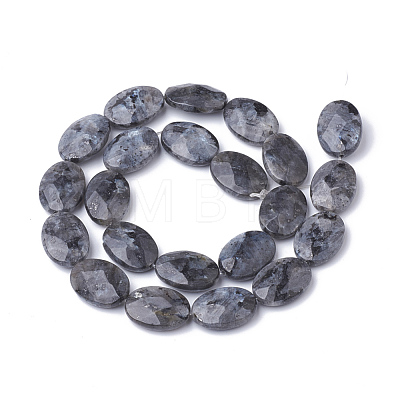 Natural Labradorite Beads Strands G-S292-40-1