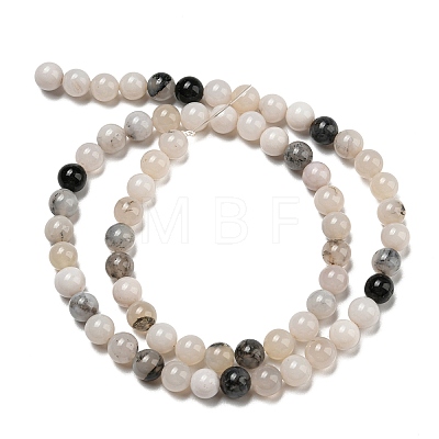 Natural Agate Beads Strands G-R494-A18-02-1