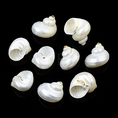 Natural Spiral Shell Beads X-SSHEL-N034-126-1