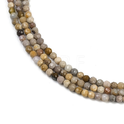 Natural Alashan Agate Beads Strands G-C181-B05-01-1