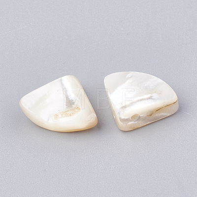 Natural White Shell Beads SHEL-T005-07-1