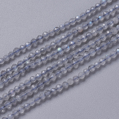 Natural Labradorite Beads Strands G-F596-43-3mm-1