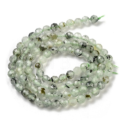 Natural Prehnite Beads Strands G-G140-A19-03-1