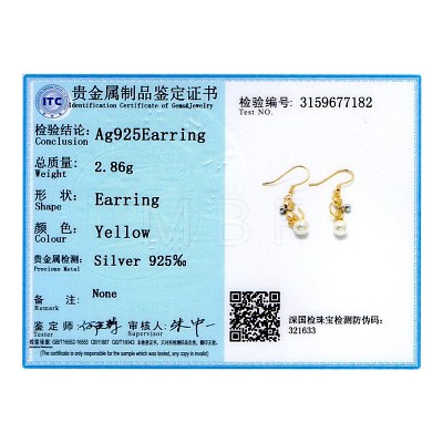 925 Sterling Silver Dangle Earrings EJEW-BB32271-1