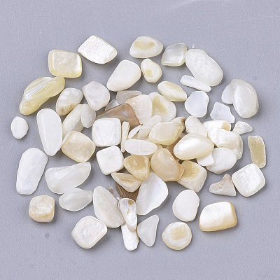 Freshwater Shell Beads X-SHEL-S266-11-1