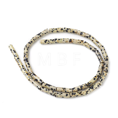 Natural Dalmatian Jasper Beads Strands X-G-F247-21-1