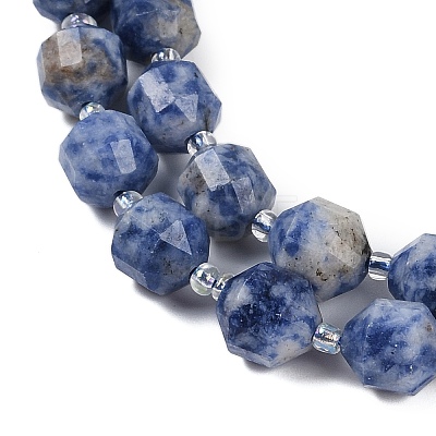 Natural Blue Spot Jasper Beads Strands G-O201B-141G-1