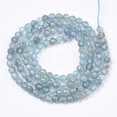 Natural Apatite Beads Strands G-R462-026B-1