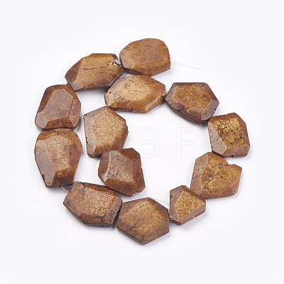 Natural Magnesite Nuggets Beads Strands TURQ-L011-01-1