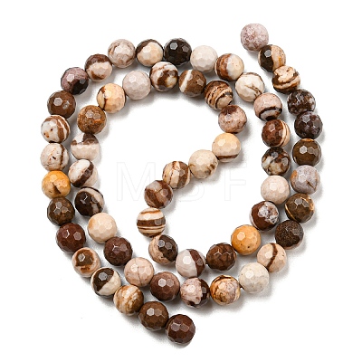 Natural Zebra Jasper Beads Strands G-C079-B01-01-1