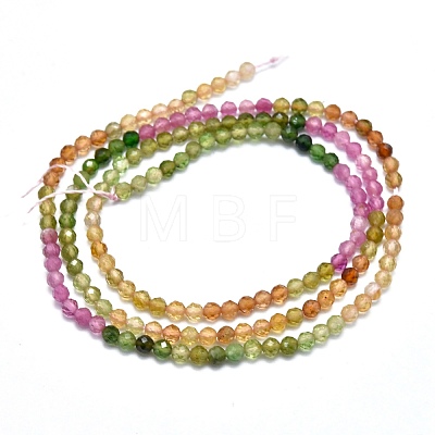 Natural Tourmaline Beads Strands G-I289-03-1