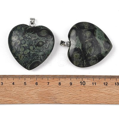 Natural Kambaba Jasper Pendants GG-K002-12A-08-1