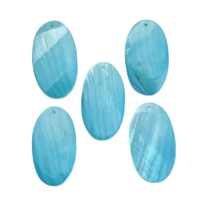 Spray Painted Natural Shell Big Pendants SHEL-C010-11-1