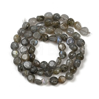 Natural Labradorite Beads Strands G-Q060-B02-1