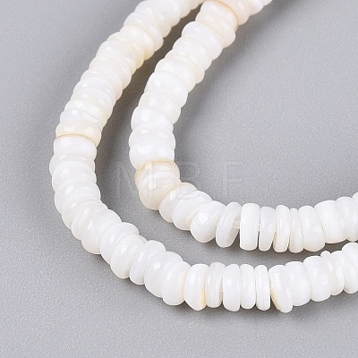 Natural Freshwater Shell Beads Strands SHEL-Q028-01-1