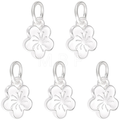 5Pcs 925 Sterling Silver Charms STER-BBC0009-44B-1