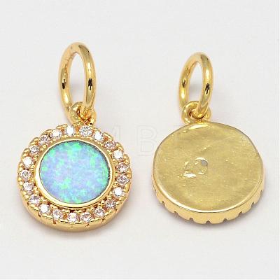 Brass Micro Pave Cubic Zirconia Charms ZIRC-G068-G-1