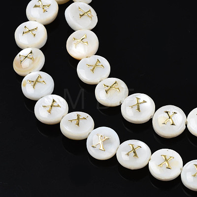 Natural Freshwater Shell Beads SHEL-S276-168X-1