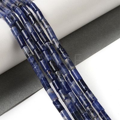 Natural Sodalite Beads Strands G-B091-A06-01-1