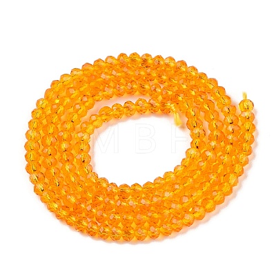 Glass Beads Strands EGLA-T021-01K-1