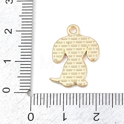 Alloy Pendants FIND-B062-07A-1