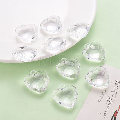 Transparent Acrylic Pendants TACR-T024-03B-205-1