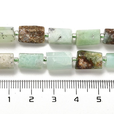 Natural Chrysoprase Beads Strands G-N327-03-36-1