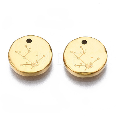 316 Surgical Stainless Steel Charms STAS-S116-418A-G-1