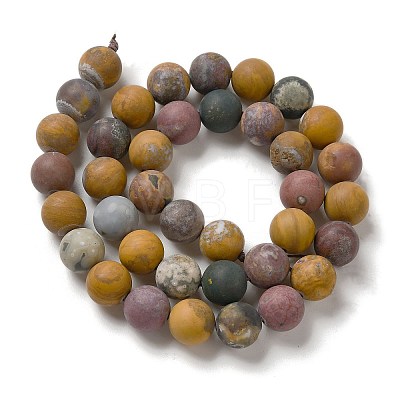 Natural Ocean Agate/Ocean Jasper Beads Strands G-G772-06-B-1