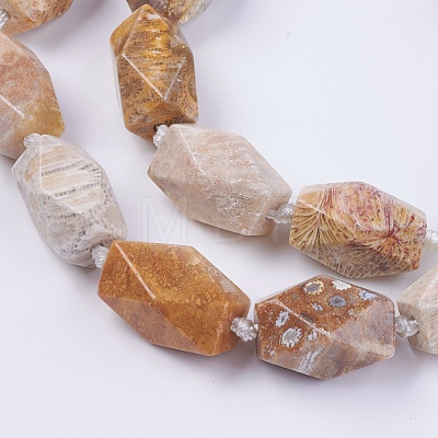 Natural Fossil Coral Beads Strands G-F554-09-1