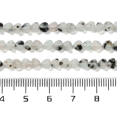 Natural Sesame Jasper Beads Strands G-M403-A40-01-1