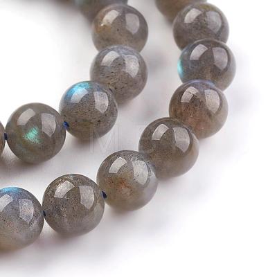 Grade AA Natural Gemstone Labradorite Round Beads Strands G-E251-33-8mm-1