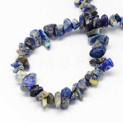 Natural Lapis Lazuli Stone Bead Strands G-R192-13-1