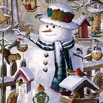 Christmas Theme Snowman DIY Diamond Painting Kits PW-WGB0DEB-03-1