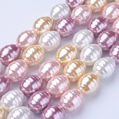 Shell Pearl Beads Strands BSHE-P030-03-1