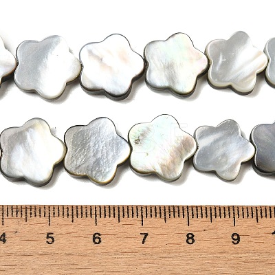 Natural Black Lip Shell Beads Strands SHEL-M021-02B-1