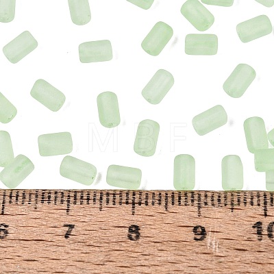 FGB Frosted Transparent Glass Seed Beads SEED-N013-05A-08-1