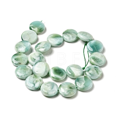 Natural Glass Beads Strands G-I247-33A-1