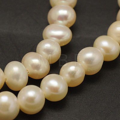 Natural Cultured Freshwater Pearl Beads Strands PEAR-F001-30-01-1