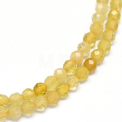 Natural Yellow Opal Beads Strands G-O180-05B-1