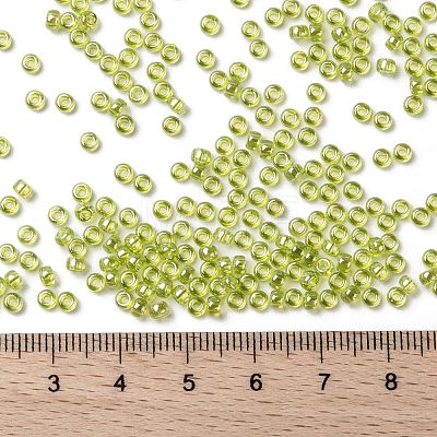 MIYUKI Round Rocailles Beads X-SEED-G008-RR0172-1