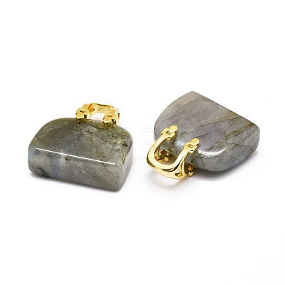 Natural Labradorite Brass Pendants KK-E274-01G-04-1