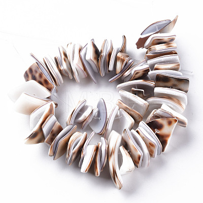 Natural Tiger Cowrie Shell Bead Strands SSHEL-N304-103-1