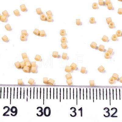 11/0 Grade A Glass Seed Beads X-SEED-S030-1017-1