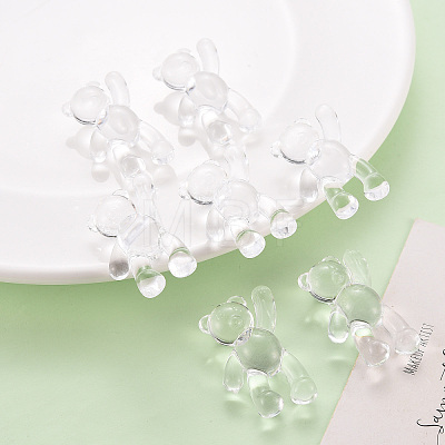 Transparent Acrylic Beads LS-X-MACR-S373-01B-205-1