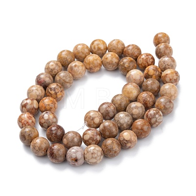 Natural Maifanite/Maifan Stone Beads Strands G-P451-01A-C-1