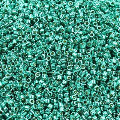 MIYUKI Delica Beads SEED-X0054-DB2505-1