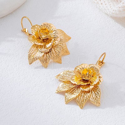 Alloy Dangle Earrings for Women WGBE734-01-1